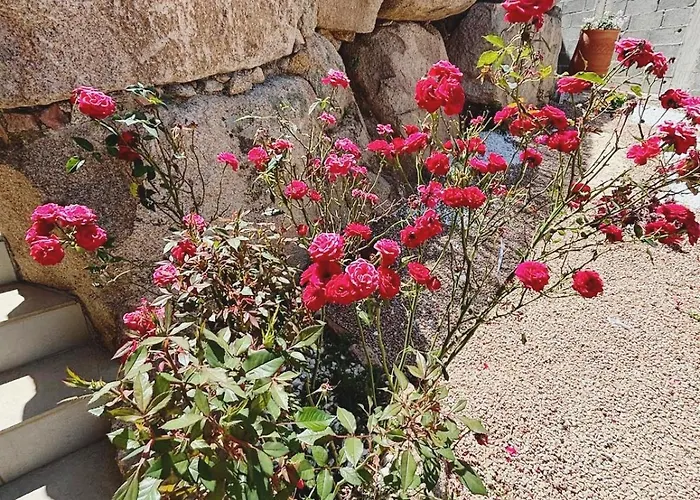 Isula Petra ヴィラ