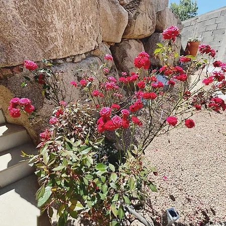 Isula Petra Βίλα